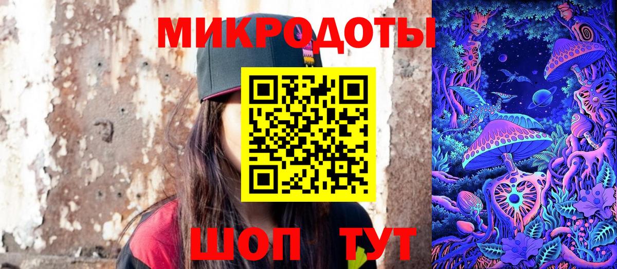 Галлюциногенные грибы Psilocybe Звенигород